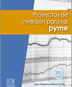 Proyectos de inversión para PyME final copia