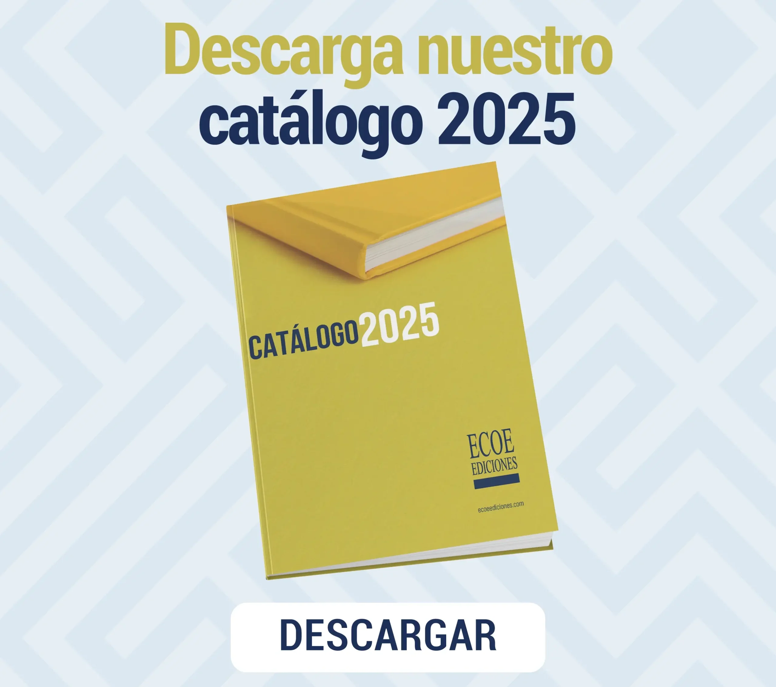 Catálogo 2024